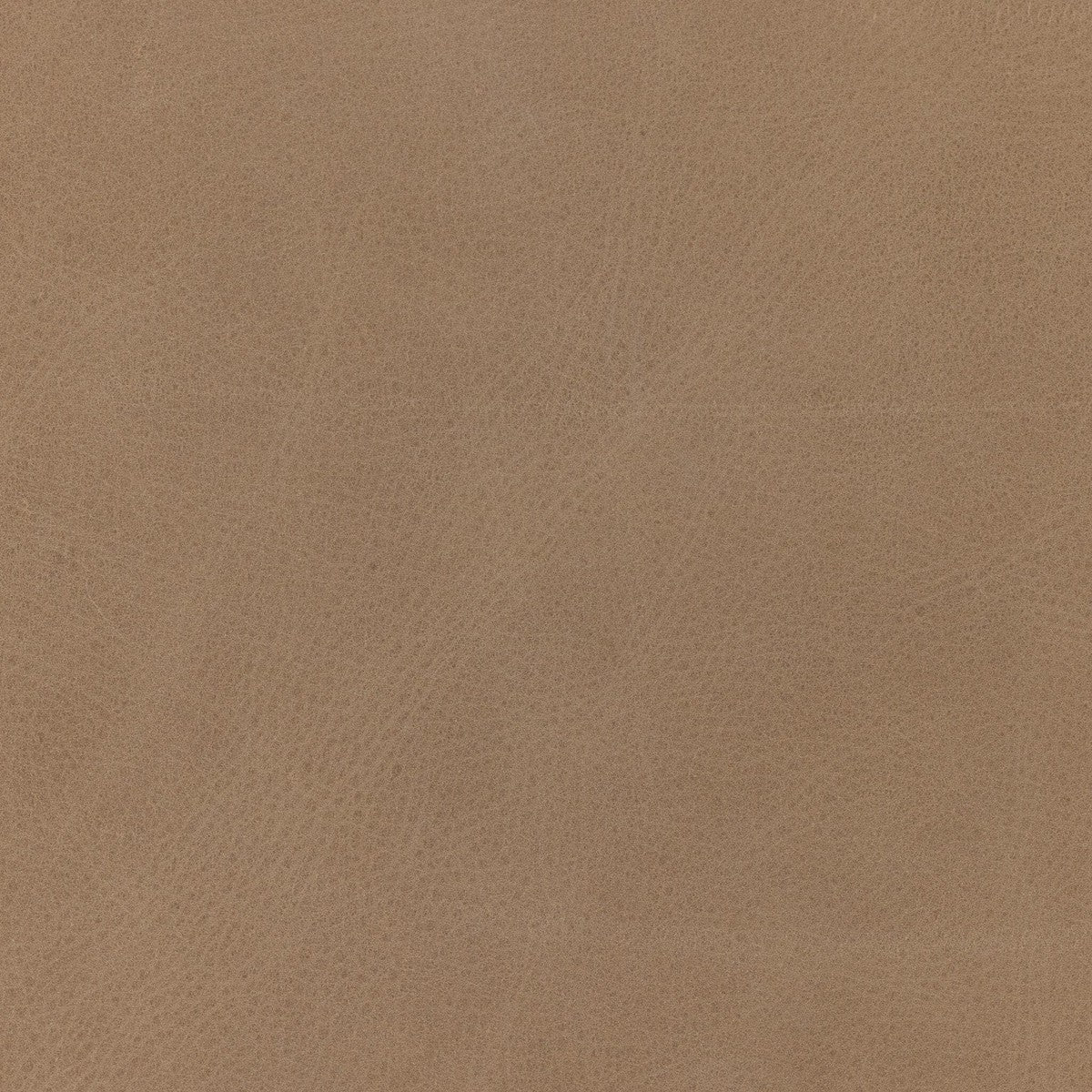 Fae Dining Chair - Palermo Nude