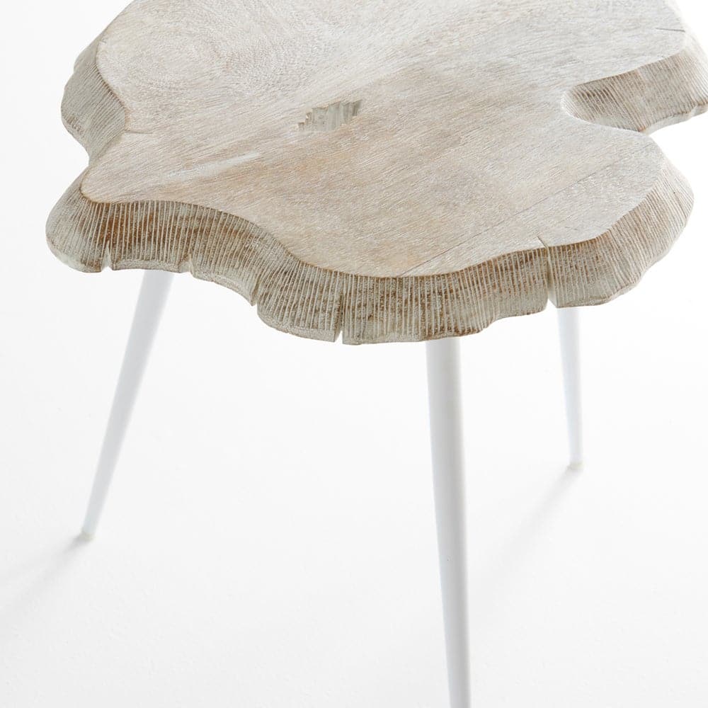 Palmer Side Table-Cyan Design-CYAN-11341-Side Tables-3-France and Son