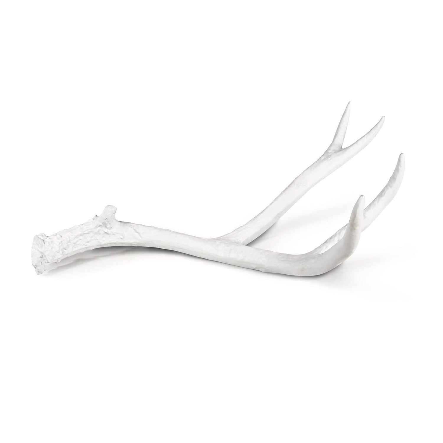 Antler Objet Large-Regina Andrew Design-RAD-20-1432WT-Decorative ObjectsWhite-2-France and Son