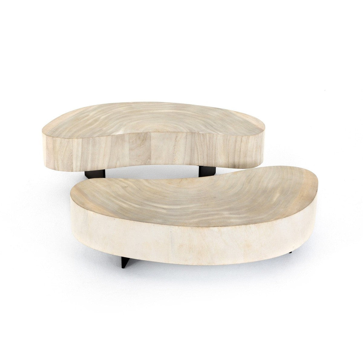 Avett Coffee Table - Bleached Guanacaste Oyster