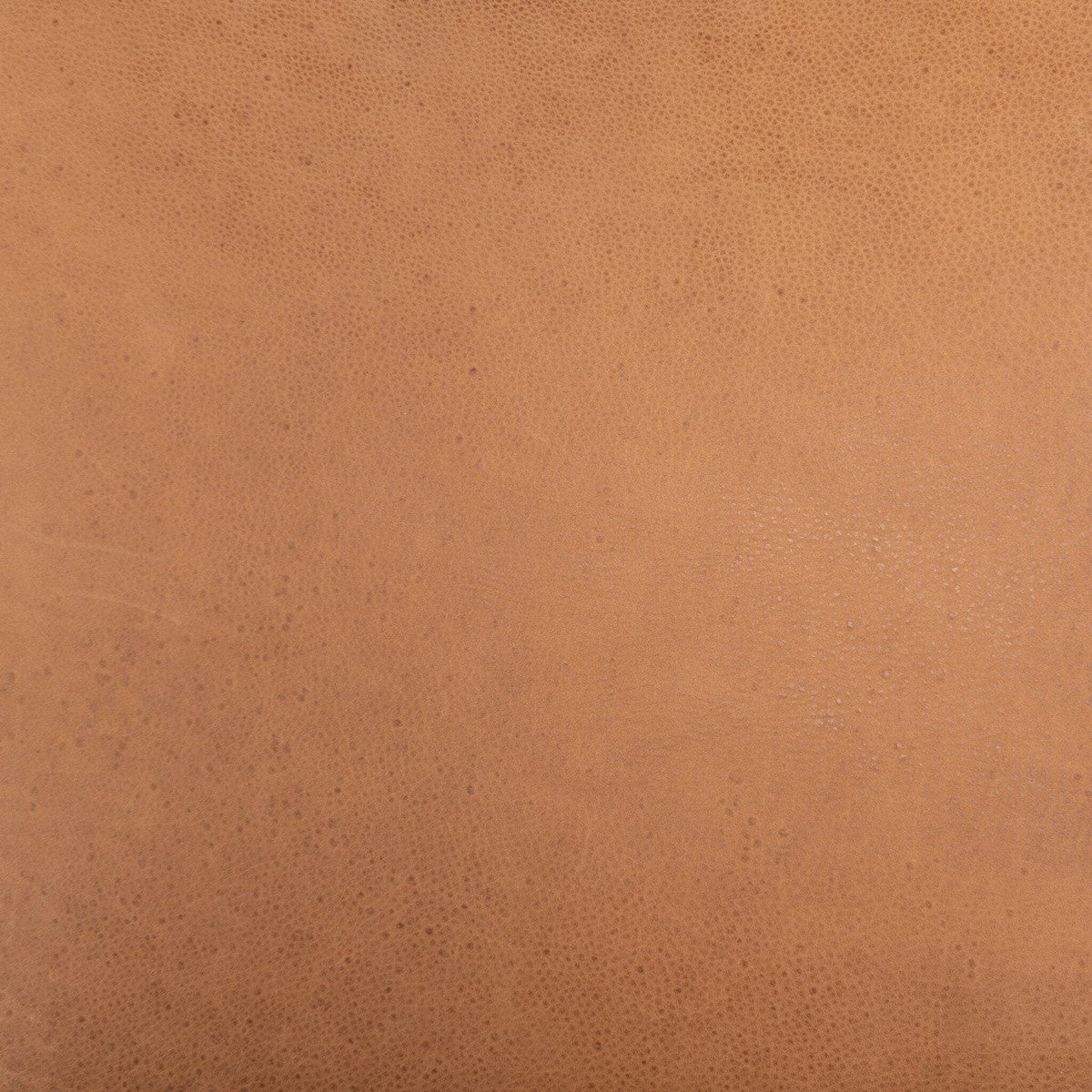 Monza Dining Chair - Heritage Camel