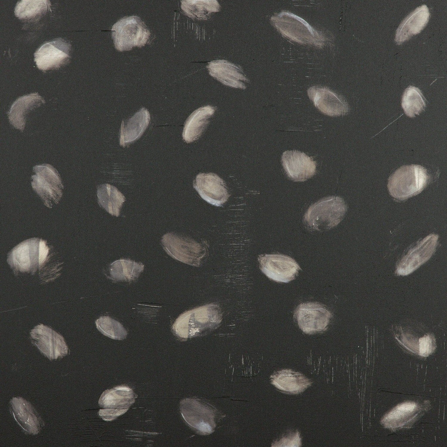 Oculus by Jamie Beckwith - Black Maple Floater