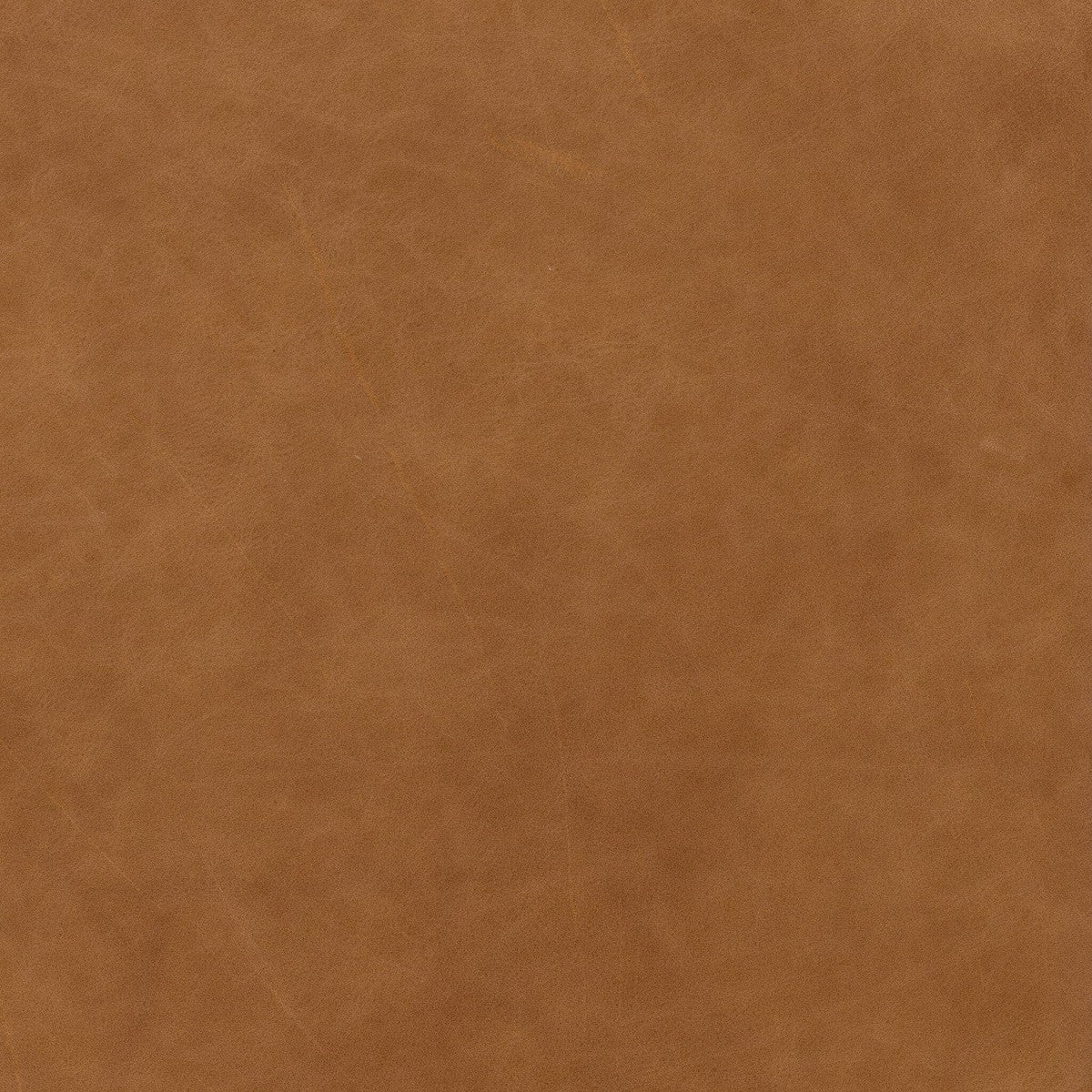 Olson Swivel Chair - Sonoma Butterscotch