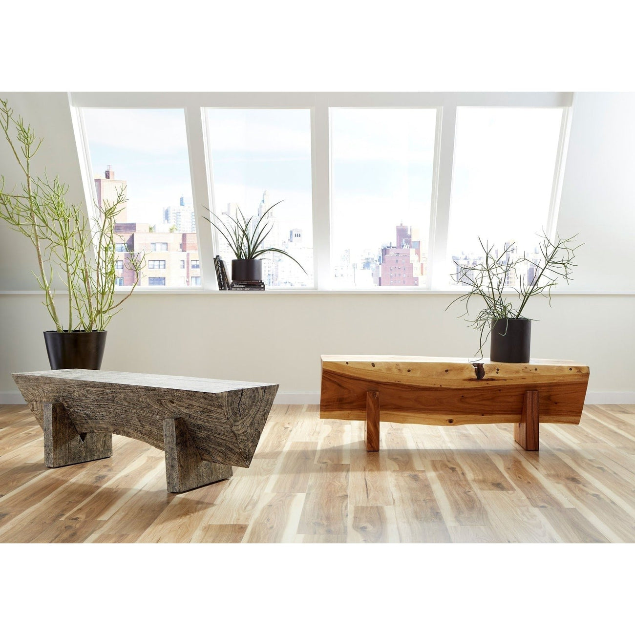 Chamcha Wood Triangle Bench-Phillips Collection-PHIL-TH94569-BenchesNatural-4-France and Son