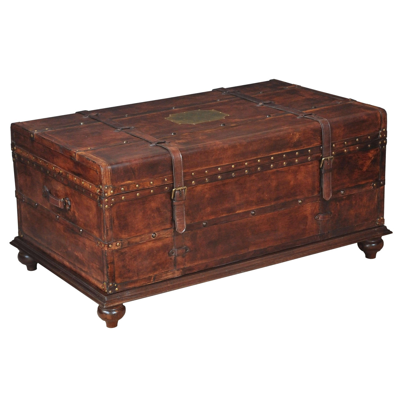 Laramie Trunk Coffee Table-SARREID-SARREID-26853-Coffee Tables-1-France and Son