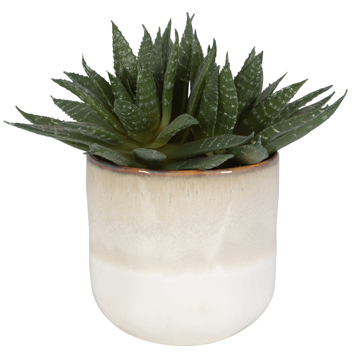 Uttermost Doha Succulent Accent-Uttermost-UTTM-60213-Faux Plants-2-France and Son