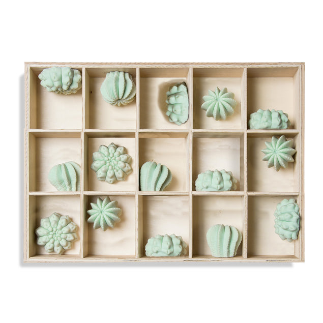 Shadow Box w/Cactus Wall Play - 10"-Gold Leaf Design Group-GOLDL-ART3706-15-Wall Decor-1-France and Son