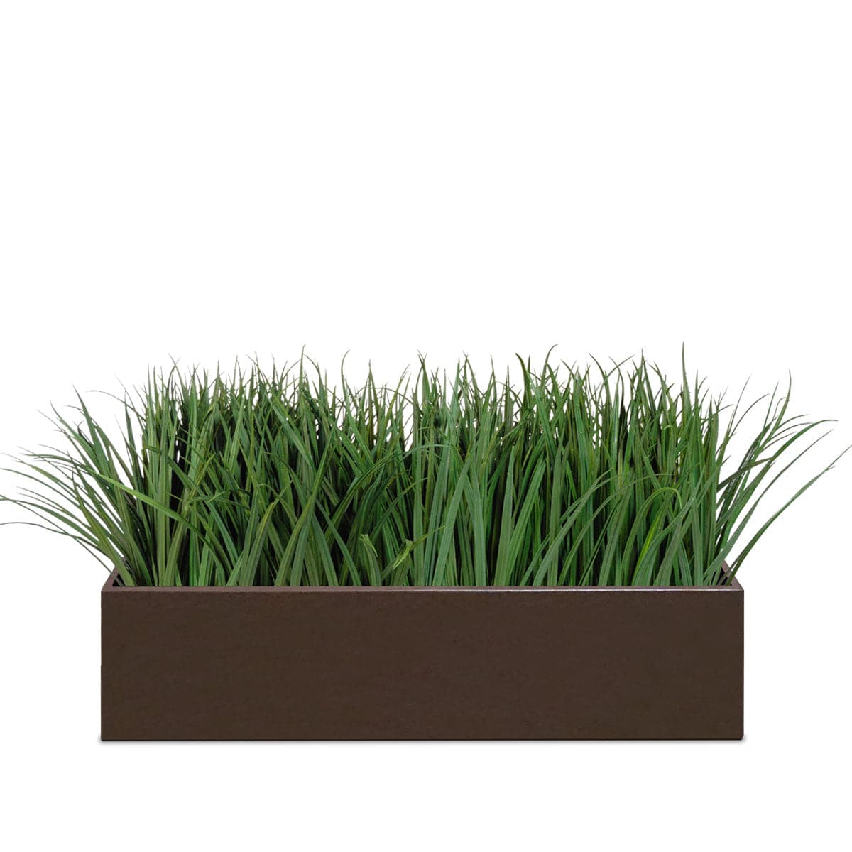 Liriope Planter For Base Of Movable Partition Wall-Gold Leaf Design Group-GOLDL-HY1628-BB-Planters-1-France and Son
