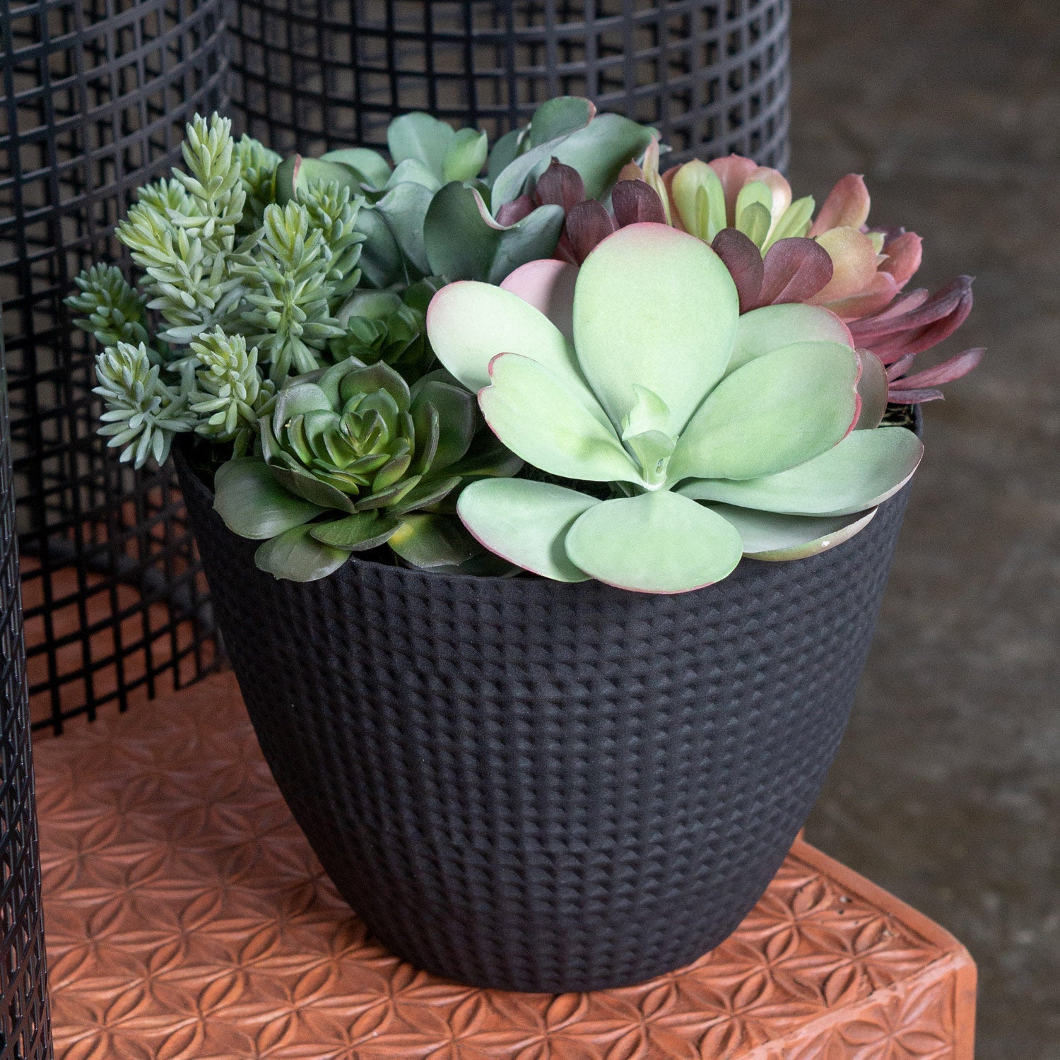 Nama Succulent Mix With Paddle Kalanchoe 12.5"H-Gold Leaf Design Group-GOLDL-HY1839-12-Planters-1-France and Son