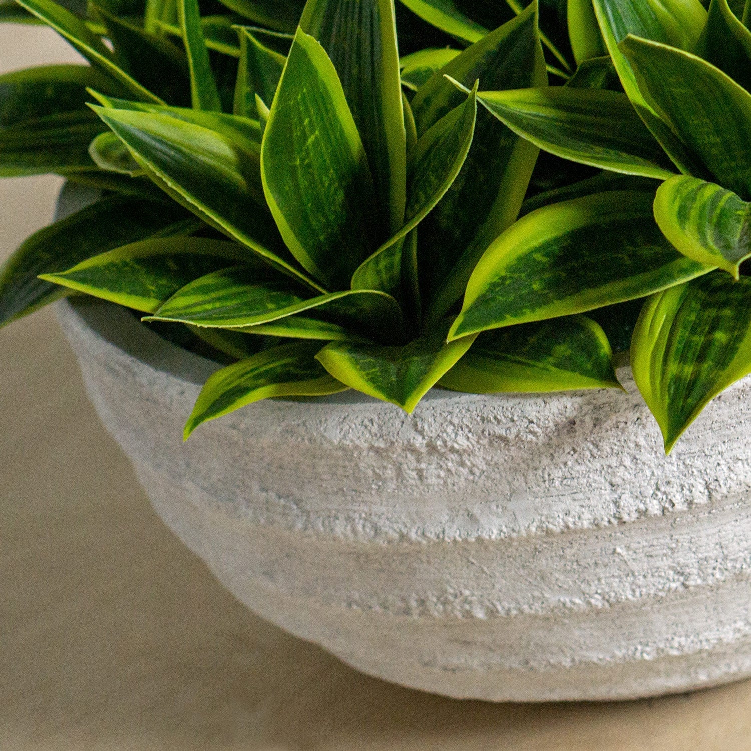 Sansevieria In Dolma Bowl, LG-Gold Leaf Design Group-GOLDL-HY2085-14-Planters-2-France and Son