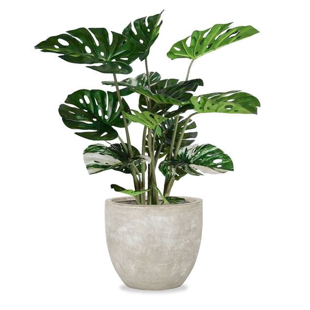 Monstera in Urbano Flared - Large-Gold Leaf Design Group-GOLDL-HY3710-Planters-1-France and Son