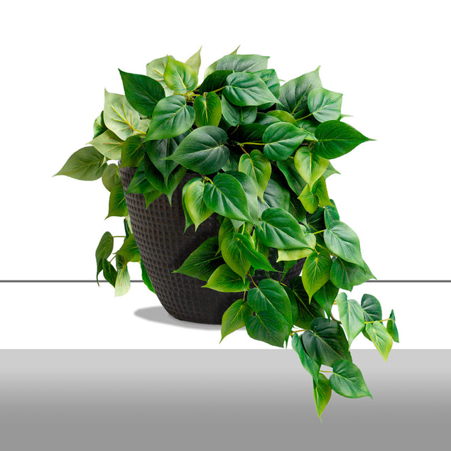 Philodendron Green Heart Leaf in Nama Planter - Large-Gold Leaf Design Group-GOLDL-HY3712-LG-Planters-1-France and Son