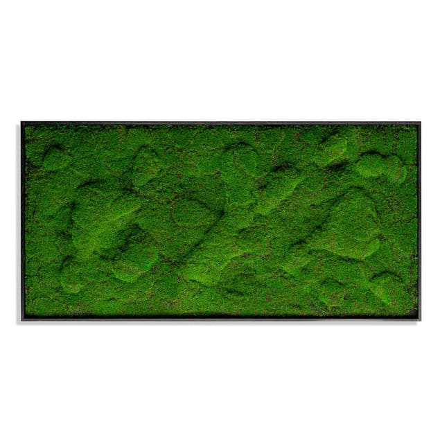 Green Wall, "New Moss Rectangle 50"L"-Gold Leaf Design Group-GOLDL-HY8612-50-Wall Decor-1-France and Son