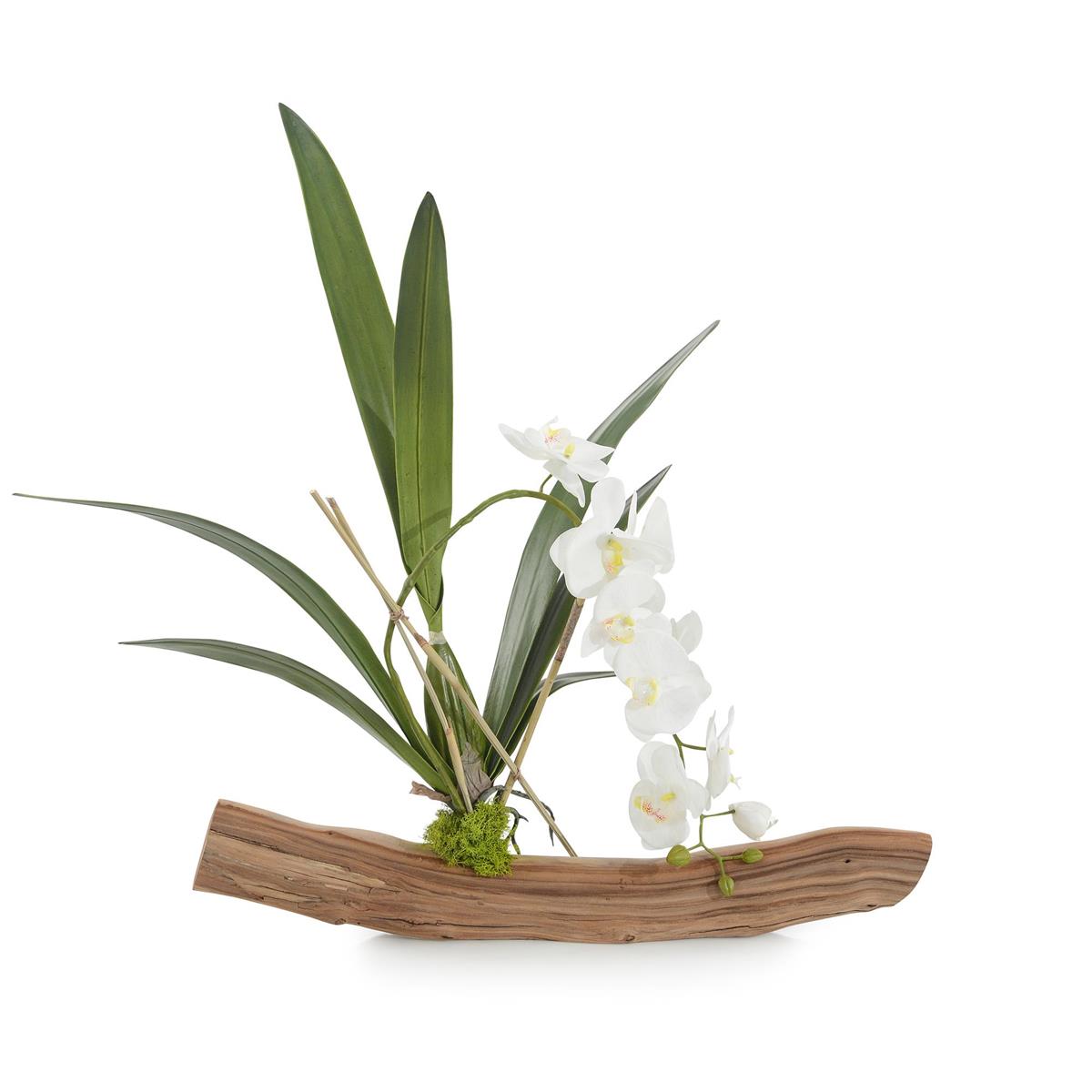 Manzanita Natural Orchid-John Richard-JR-JRB-5123-Faux Plants-1-France and Son