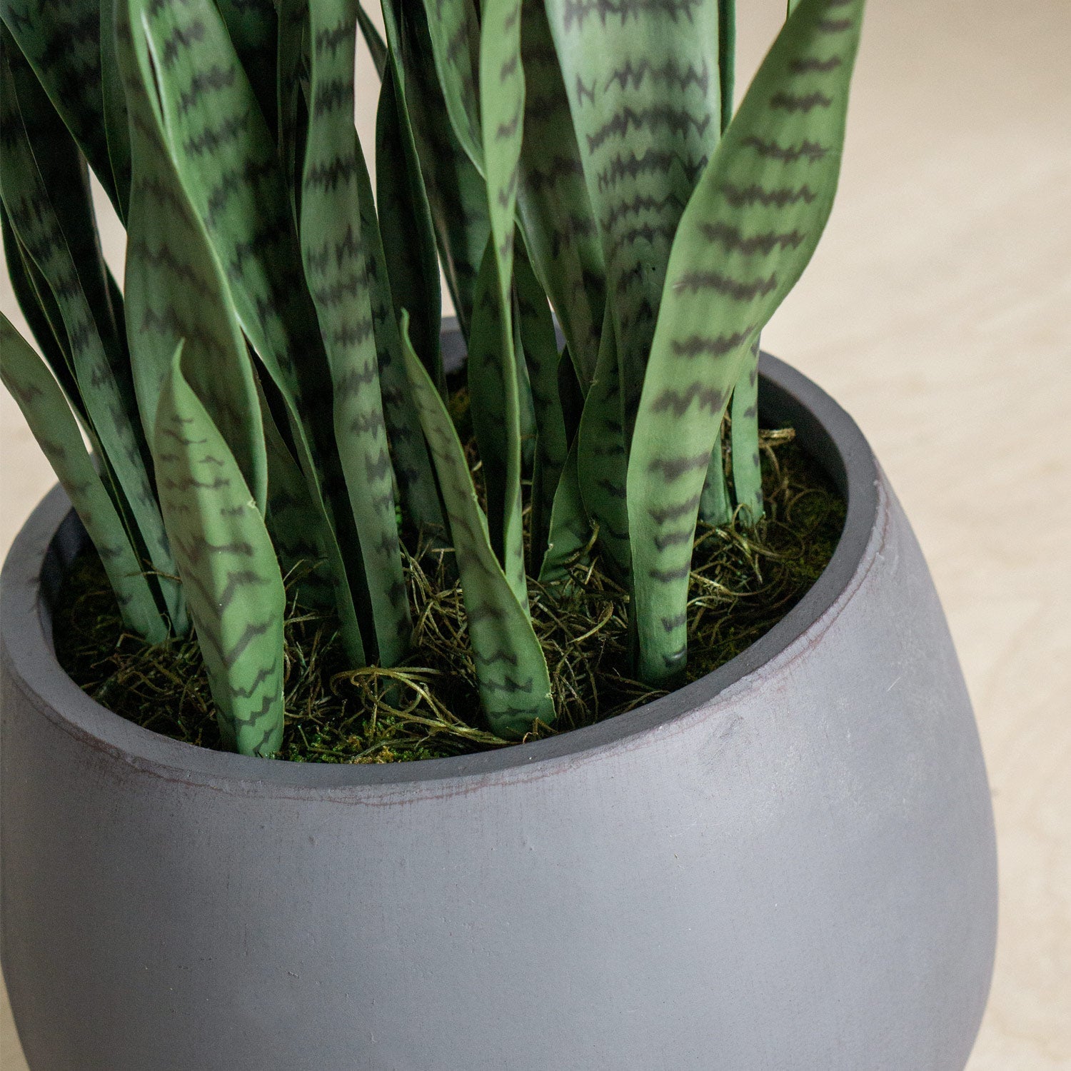 Sansevieria In Puddle Planter Grey - SM-Gold Leaf Design Group-GOLDL-HY2081-1-Planters-2-France and Son