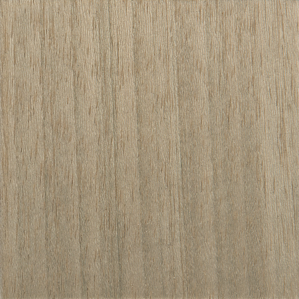 All Dressed Up  - Gold, Taupe