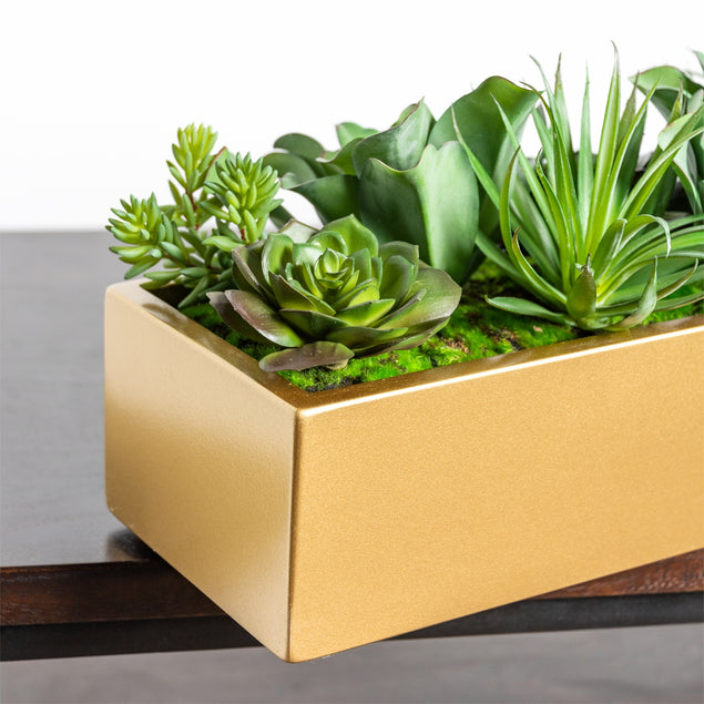 Desert Echeveria in Rectangle Planter-Gold Leaf Design Group-GOLDL-HY9428-54G-Planters-4-France and Son