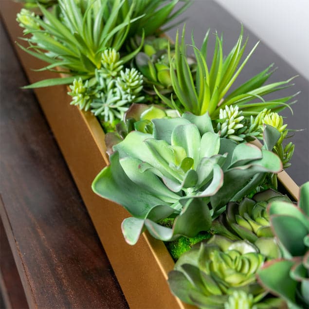 Desert Echeveria in Rectangle Planter-Gold Leaf Design Group-GOLDL-HY9428-54G-Planters-2-France and Son