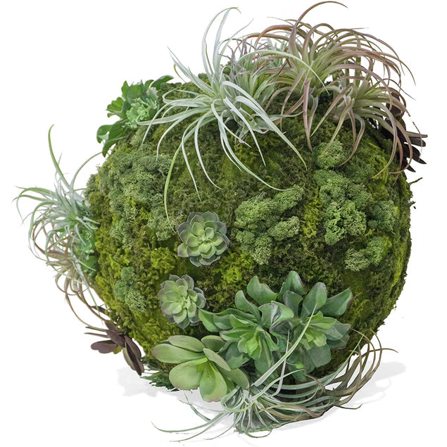 Moss Sphere With California Mix-Gold Leaf Design Group-GOLDL-HY3673-34-Decor-1-France and Son