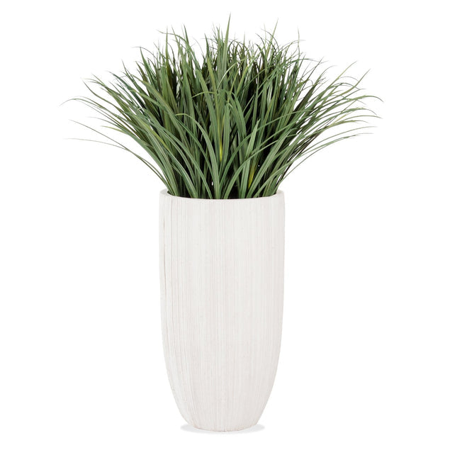 Liriope Grass in Linea Planter-Gold Leaf Design Group-GOLDL-HY8425-48-Planters-1-France and Son