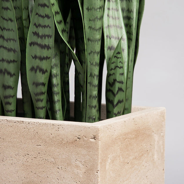 Sansevieria in Urbano Rectangle Planter-Gold Leaf Design Group-GOLDL-HY9451-38-PlantersSmall-2-France and Son