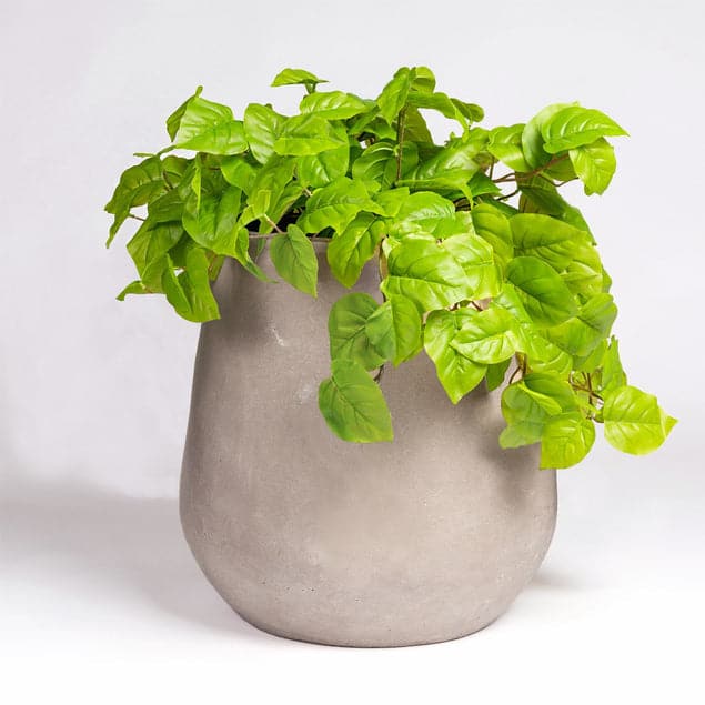 Philodendron in Urbano Bell Planter-Gold Leaf Design Group-GOLDL-HY9453-27-PlantersSmall-1-France and Son