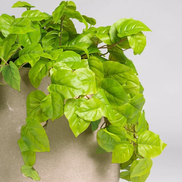 Philodendron in Urbano Bell Planter-Gold Leaf Design Group-GOLDL-HY9453-27-PlantersSmall-2-France and Son