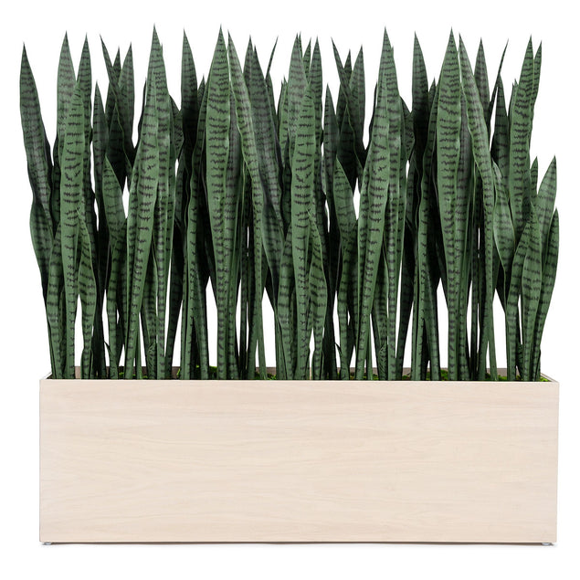 Sansevieria in Whitewash Rectangle Planter-Gold Leaf Design Group-GOLDL-HY9492-48W-Planters-1-France and Son