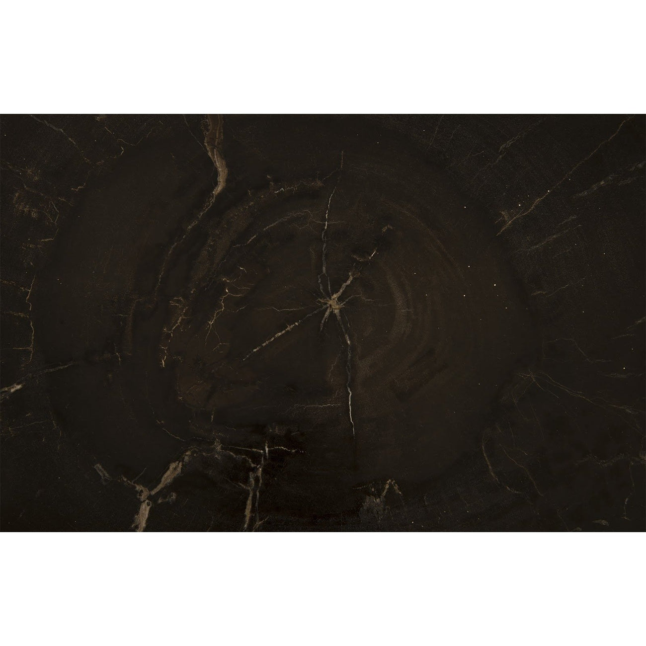 Petrified Wood Coffee Table-Phillips Collection-PHIL-ID85629-Coffee Tables-3-France and Son