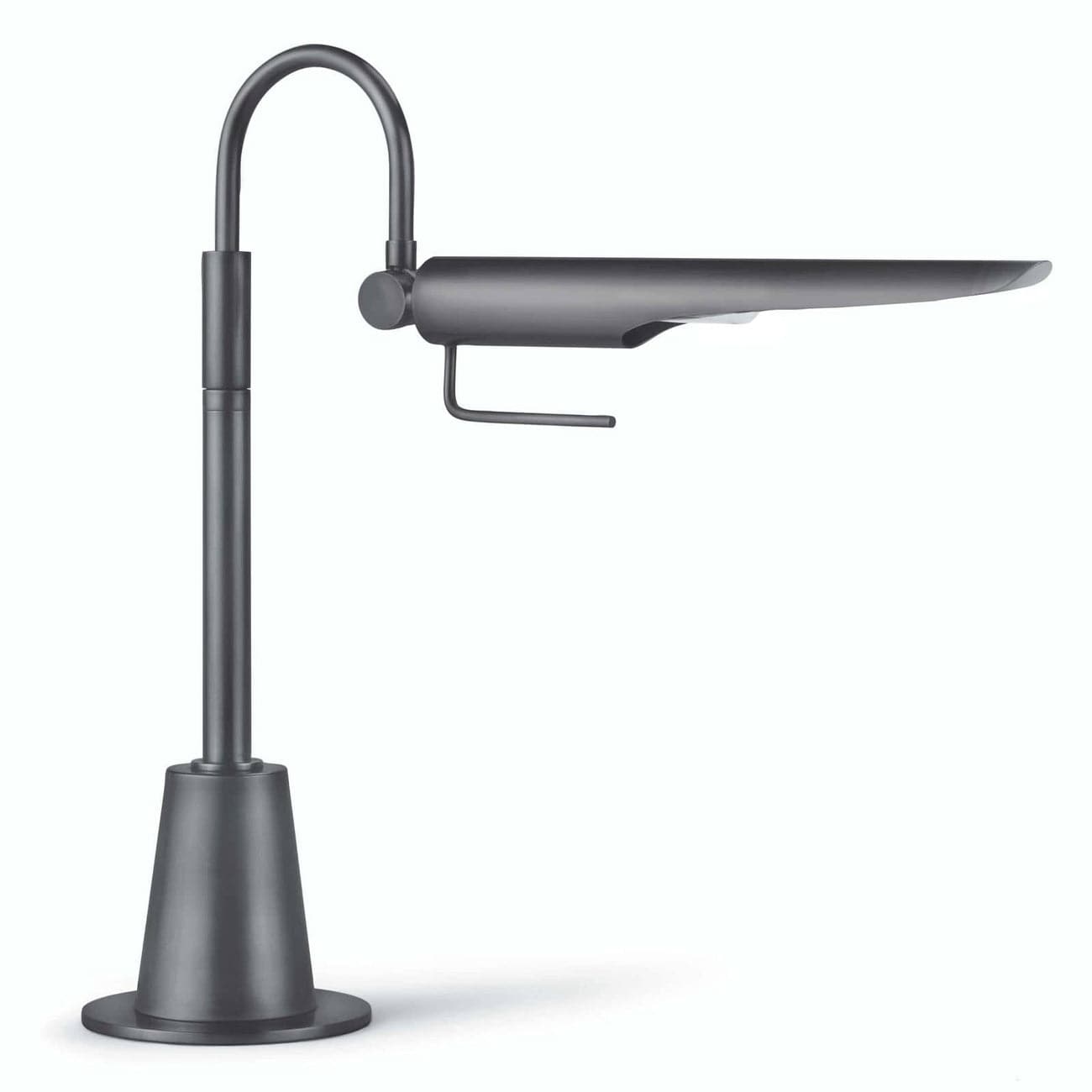 Raven Task Lamp