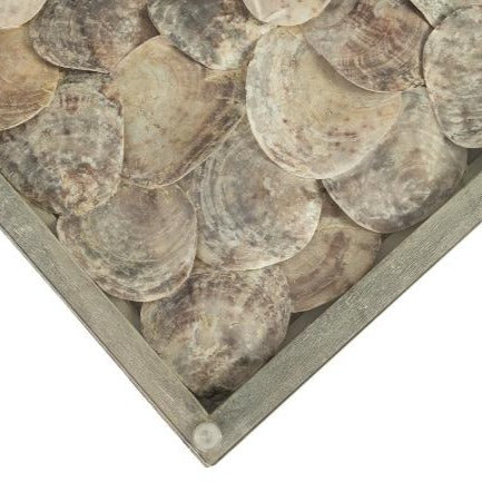 Shell Coffee Table, Glass Top, Ming Stainless Steel Legs-Phillips Collection-PHIL-PH81449-Coffee Tables-3-France and Son