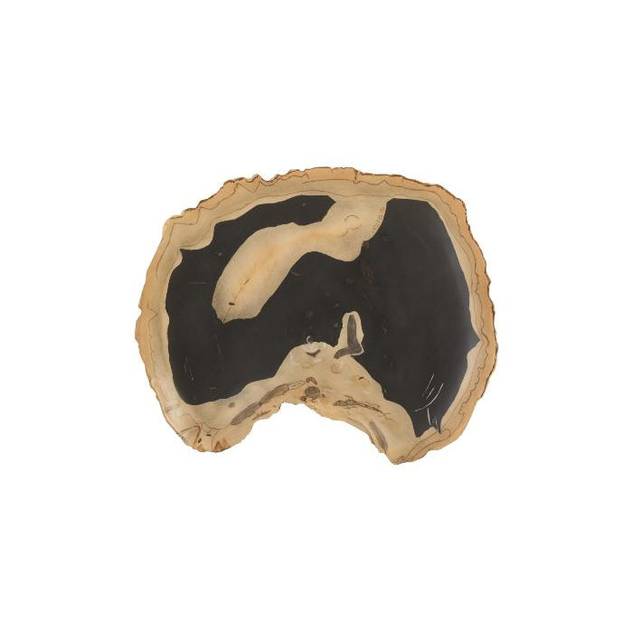 Cast Petrified Wood Wall Tile-Phillips Collection-PHIL-PH92564-Wall ArtThin Brown-9-France and Son