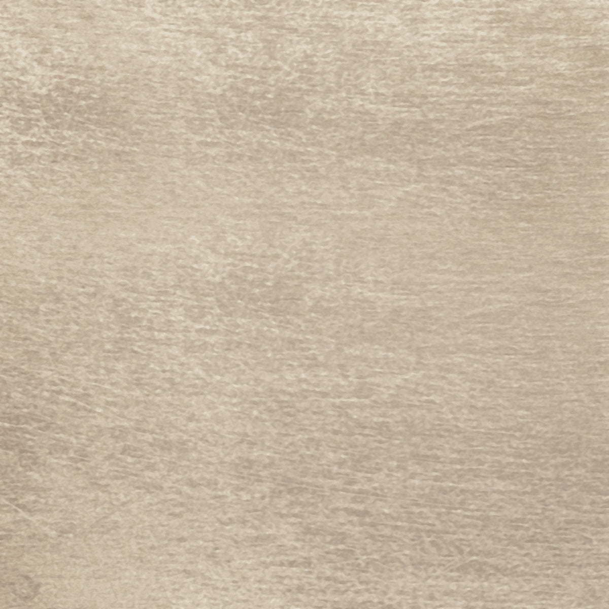 Made To Shine  - White, Silver