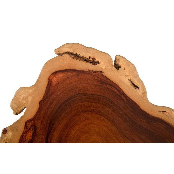 Makha Burled Wood Side Table-Phillips Collection-PHIL-TH81211-Side Tables-3-France and Son