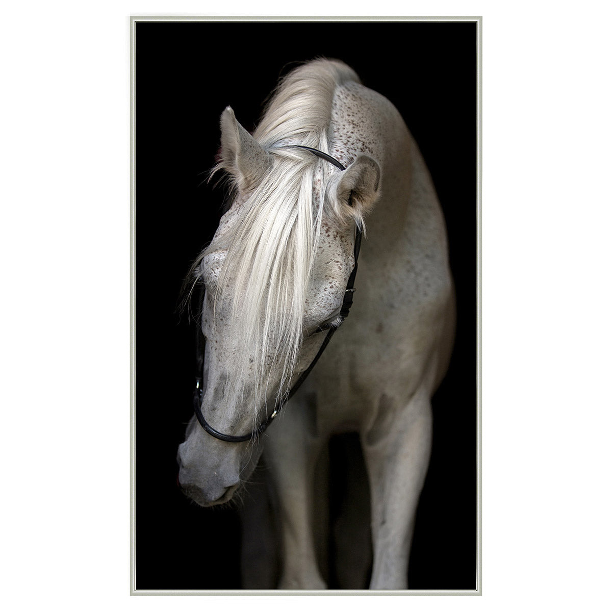 Pasha-Wendover-WEND-WLA1137-Wall Art-1-France and Son
