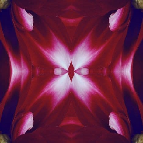 Ruby Red Kaleidoscope-Wendover-WEND-WLA1985-Wall Art-1-France and Son
