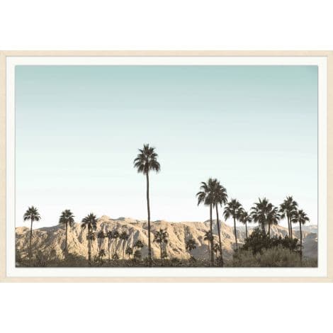 Palm Springs Memory