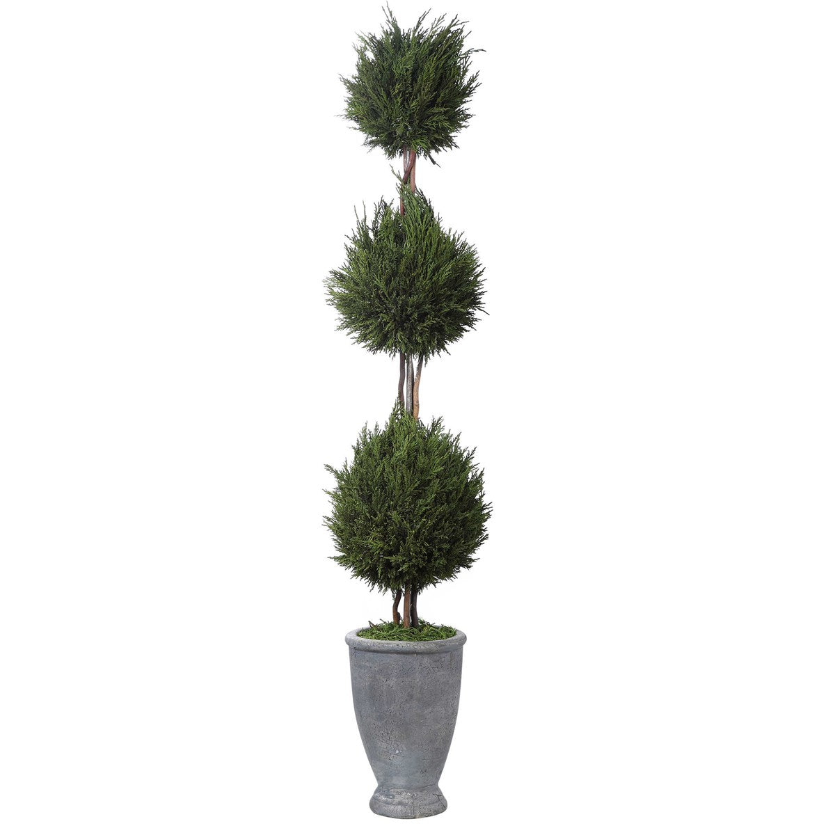 Cypress Triple Topiary-Uttermost-UTTM-60172-Decor-2-France and Son