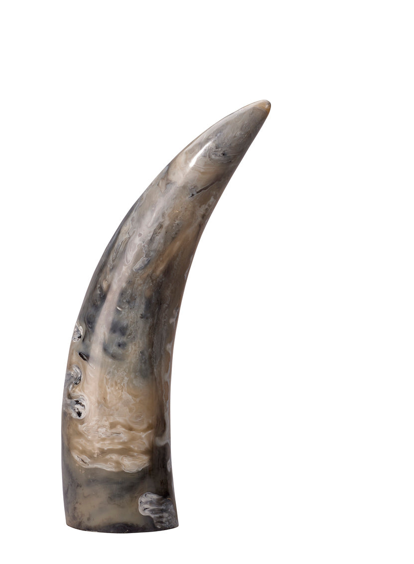 Varigated Horn Decorative Objects-Jamie Young-JAMIEYO-7VARI-OBGR-Decorative Objects-3-France and Son