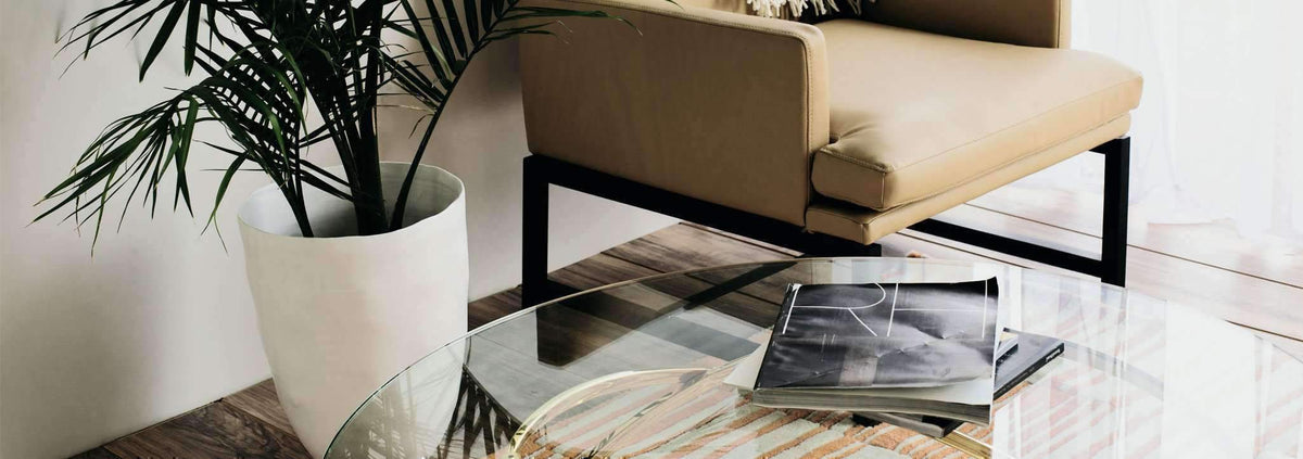 Collections: Bold and Gold