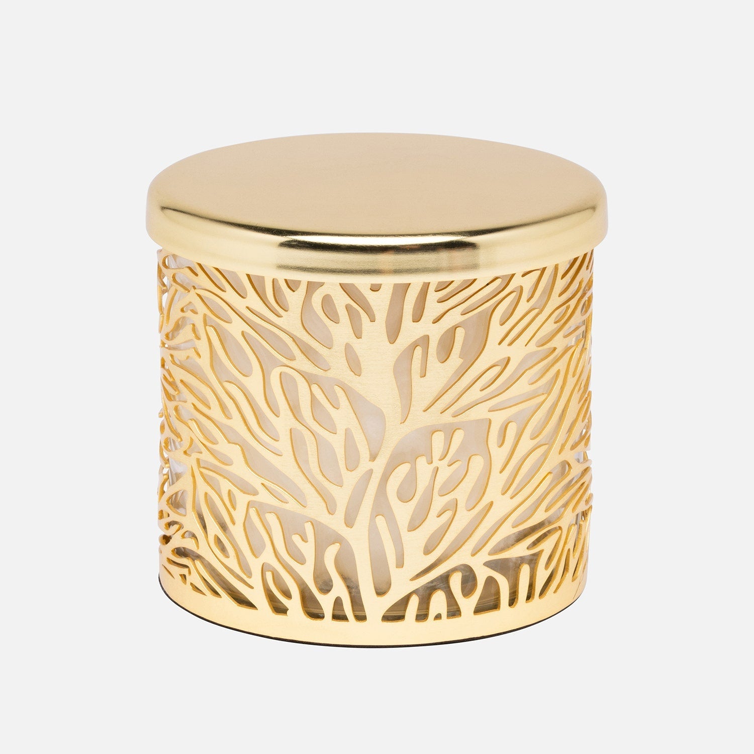 Lynn, Matte Gold/Clear, Canister, Round, Large, Stainless Steel/Glass