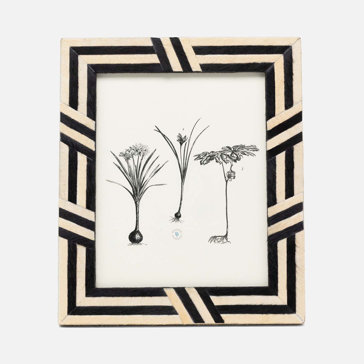 Helos, Beige/Dark Brown, Frame, 8"X10", Hair-On-Hide