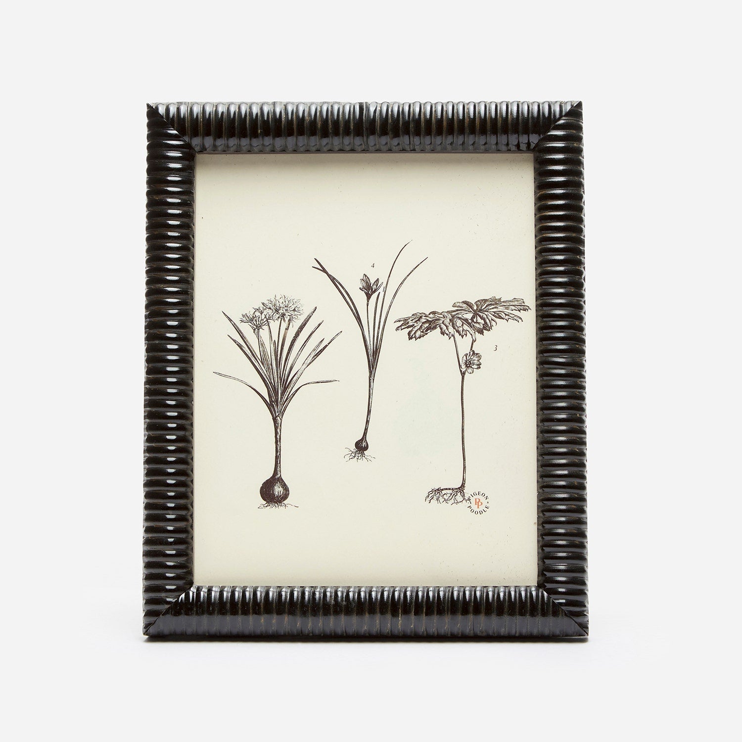 Metz, Black, Frame, 8"X10", Lacquered Resin