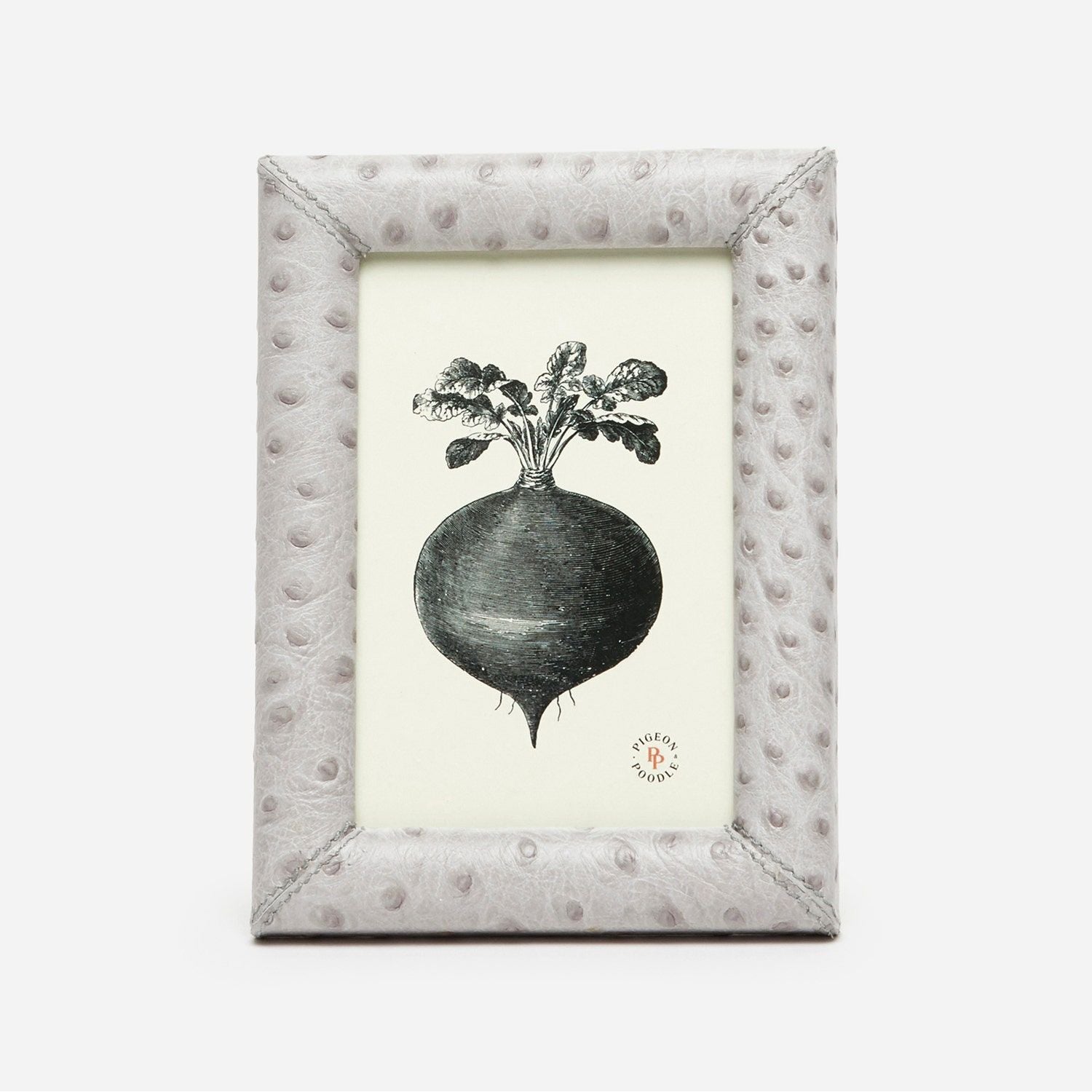 Witney, Light Gray Ostrich, Frame, 4"X6", Full-Grain Leather