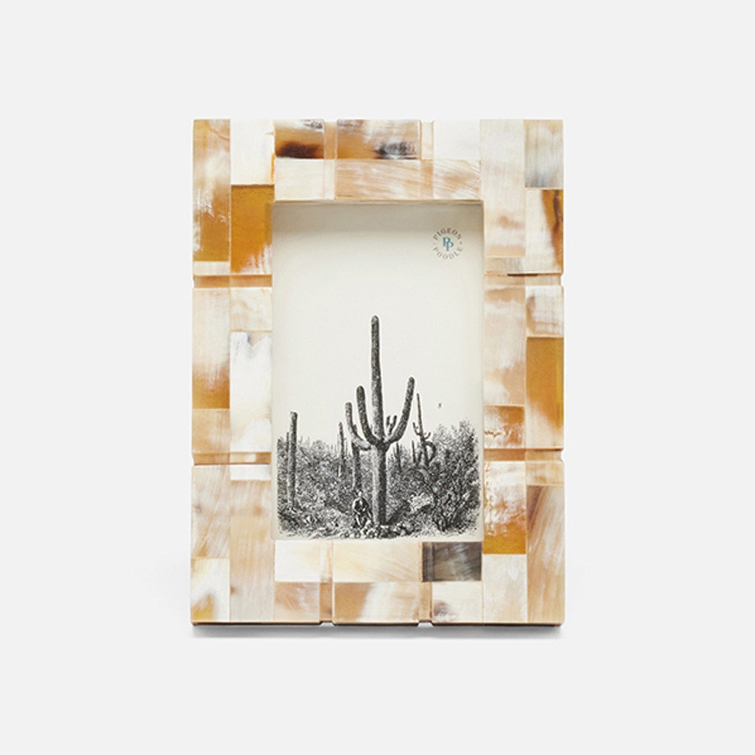 Darwin, Natural, Frame, 4"X6", Horn