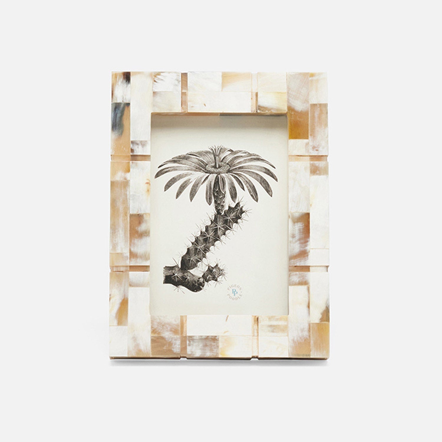 Darwin, Natural, Frame, 5"X7", Horn