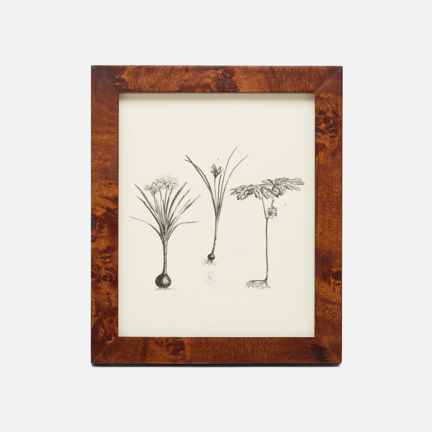 Nelson, Dark Honey, Frame, 8"X10", Mappa Burl