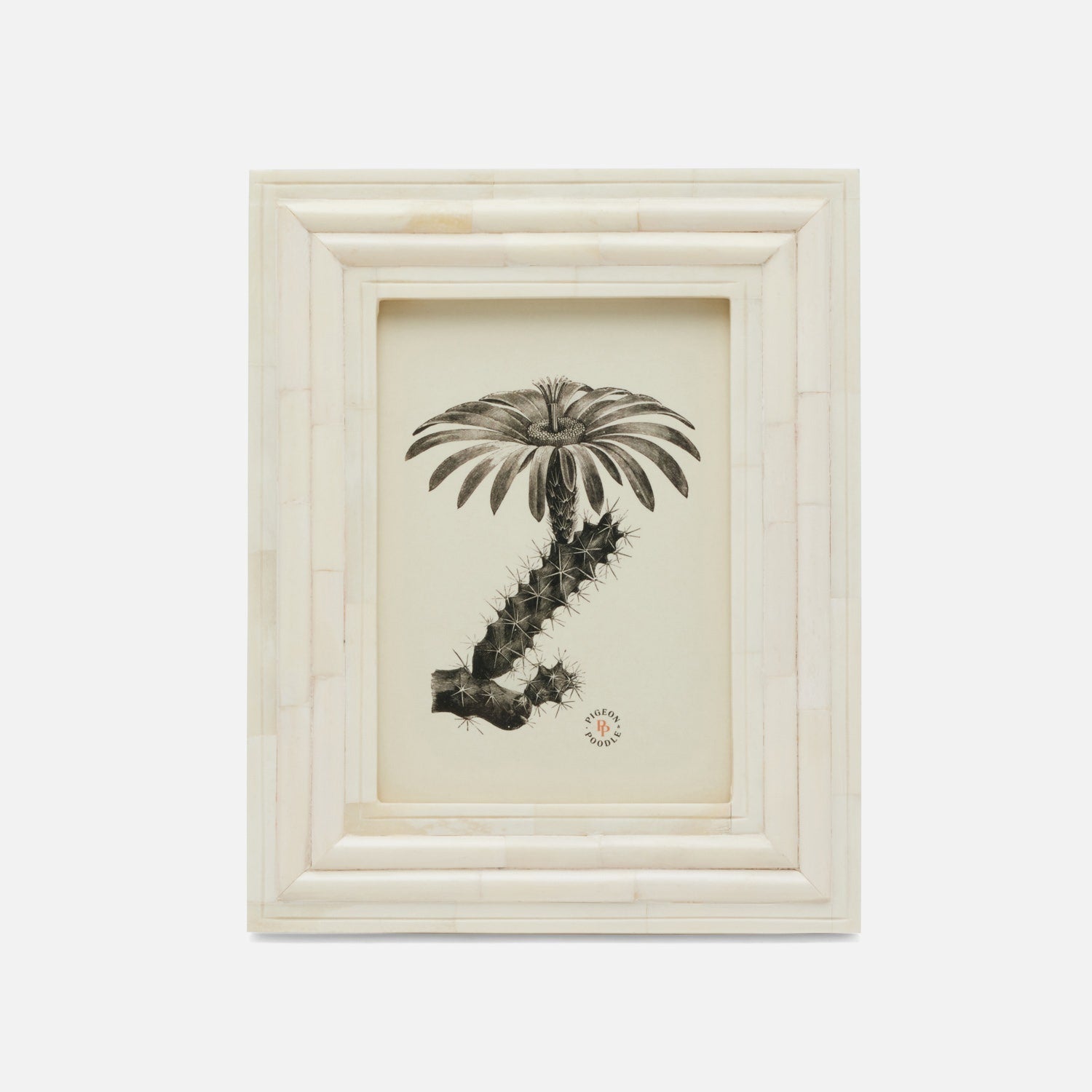 Novara, Natural, Frame, 5"X7", Bone