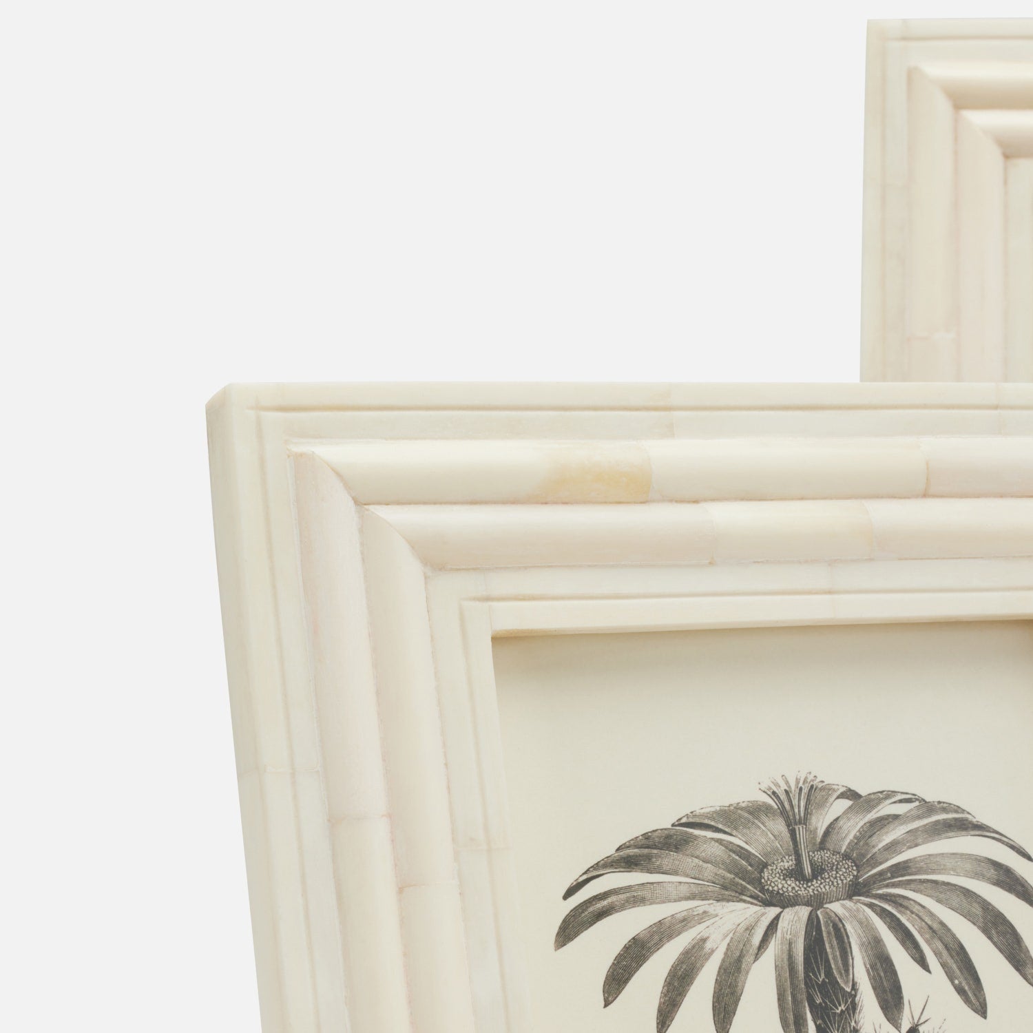 Novara, Natural, Frame, 5"X7", Bone