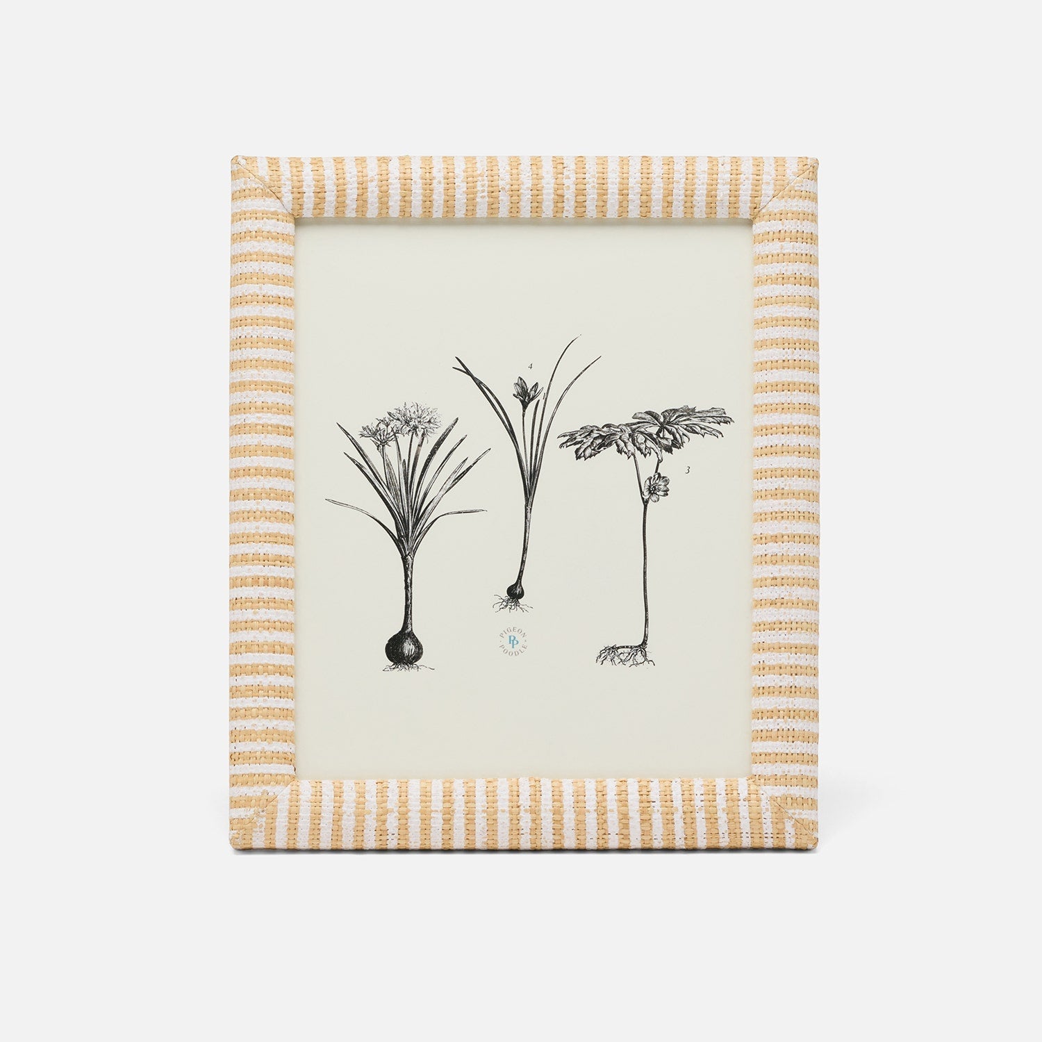 Toluca, White/Natural, Frame, 8"X10", Striped Raffia